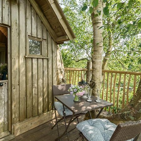 Вілла The Treehouse At Salcombe Farm Екстер'єр фото