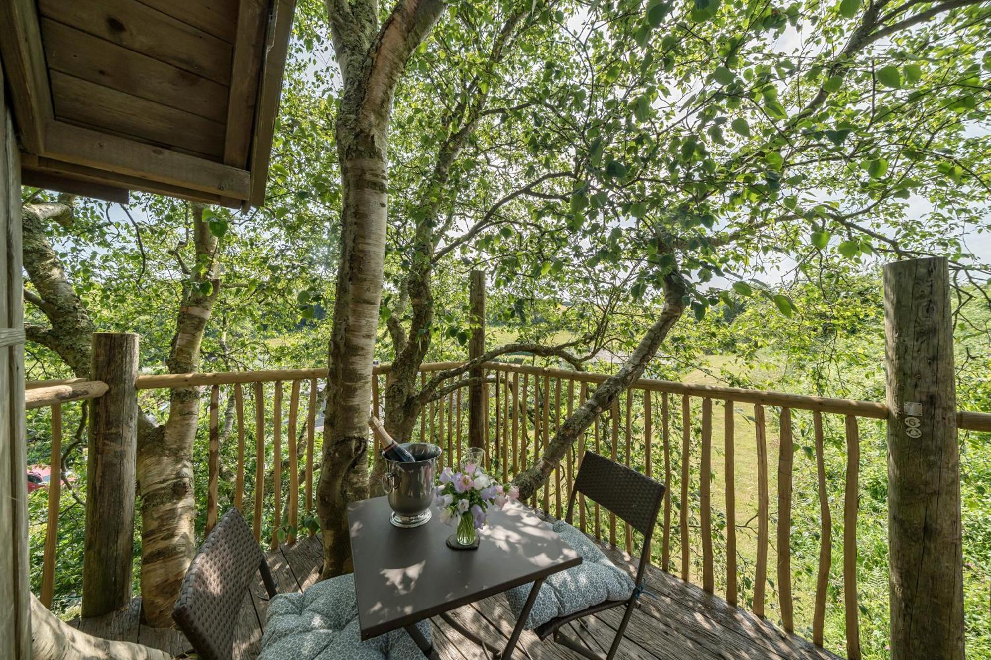 Вілла The Treehouse At Salcombe Farm Екстер'єр фото