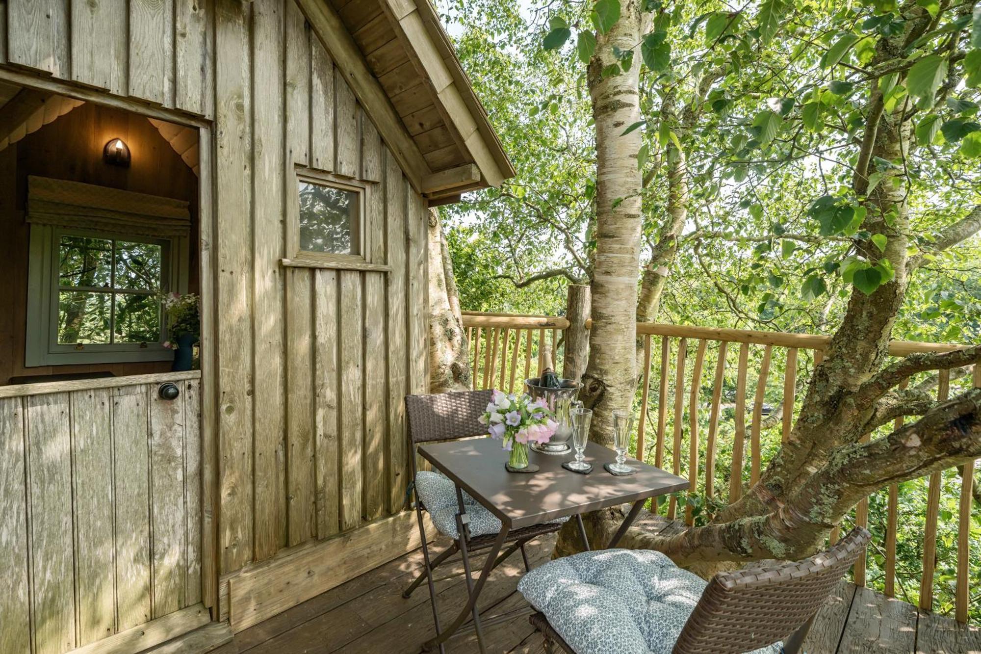 Вілла The Treehouse At Salcombe Farm Екстер'єр фото