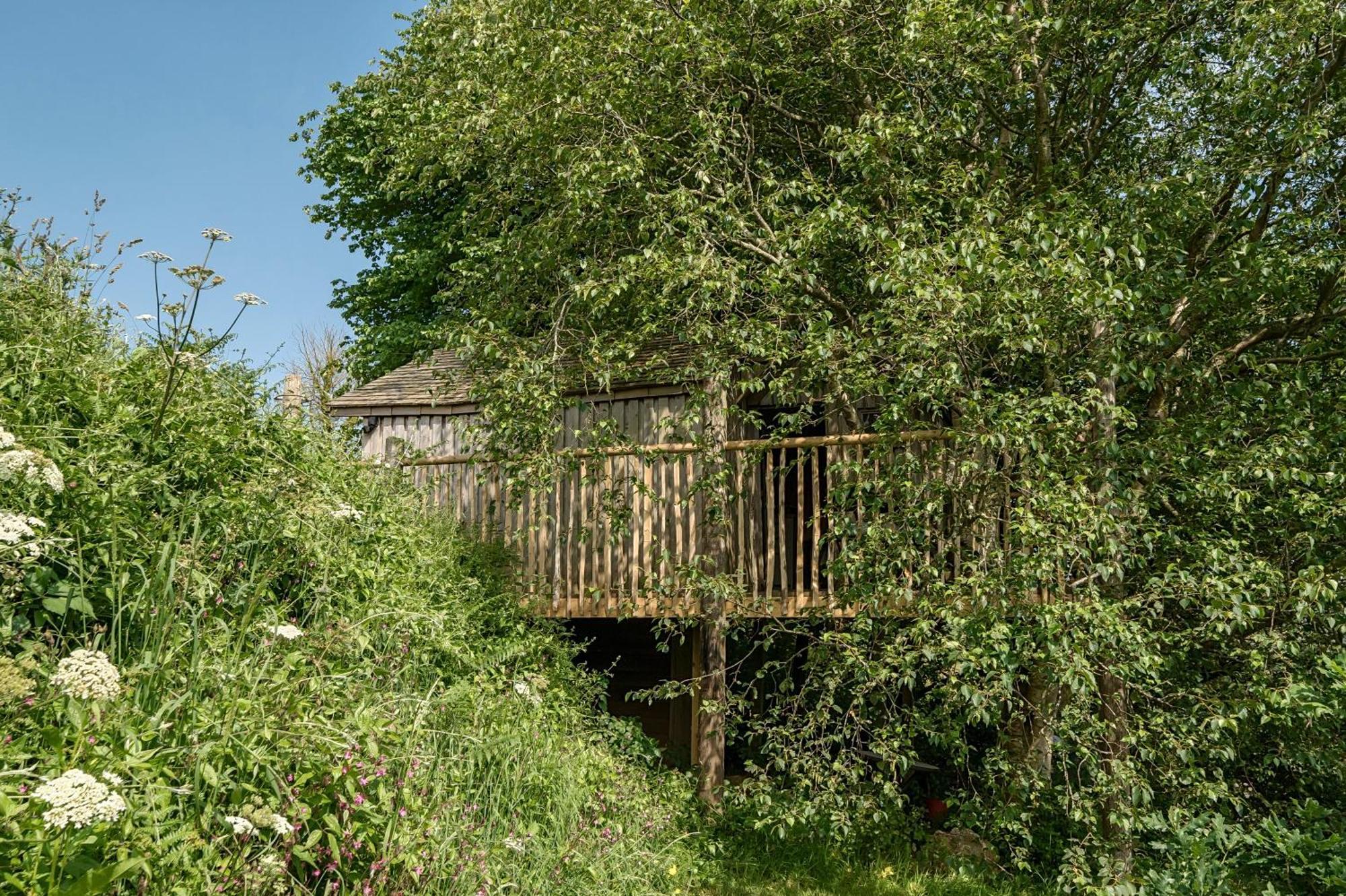 Вілла The Treehouse At Salcombe Farm Екстер'єр фото