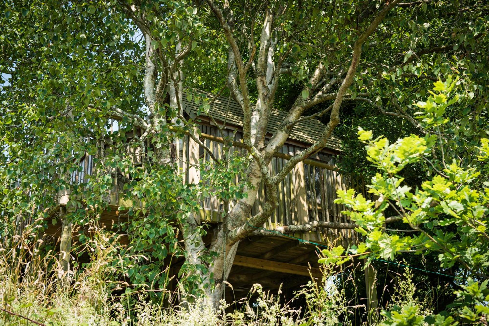 Вілла The Treehouse At Salcombe Farm Екстер'єр фото